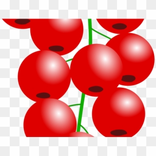 Single Clipart Cranberry - Redcurrant, HD Png Download