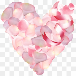 St Petals,color Pink,love,macro - Heart, HD Png Download