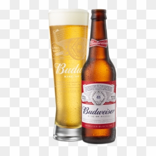 Beer Poured In Glass Next To Bottle - Budweiser, HD Png Download