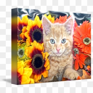 Sunflower Kitty Kitten Blue Portrait By Chantal - Cat, HD Png Download