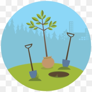 Tree Clipart Clipart Trгє - Plant A Tree Cartoon, HD Png Download