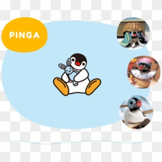 Pinga Is 3 Years Old And She Is Pingu's Little Sister - ピングー ピンガ, HD Png Download