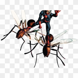 Ant-man Png Transparent Images - Ant Man Comics Png, Png Download