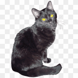 Sherlock Png - Black Cat, Transparent Png