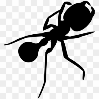 Drawn Ants Transparent - Silhouette Ant, HD Png Download