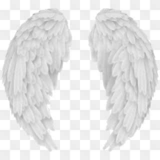 #wings #wing #alas #ala #overlay #tumblr #white #blanco, HD Png Download