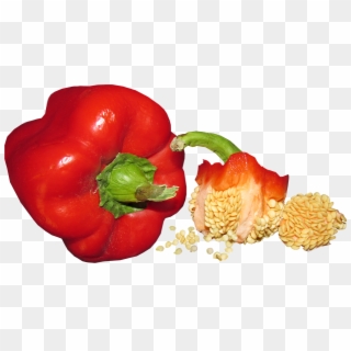 Vegetable, Capsicum, Seed, Food, Healthy, Cooking - Red Bell Pepper, HD Png Download
