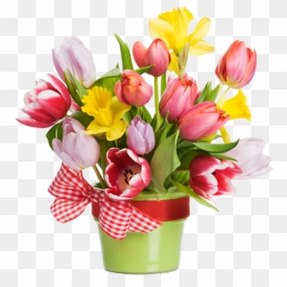 Tulip Gift Flower Bouquet Box - Plastic Flower, HD Png Download