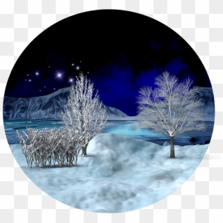 Score 50% - Christmas Tree, HD Png Download