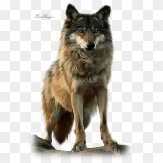 Image Png Loup - Love Lone Wolf Quotes, Transparent Png