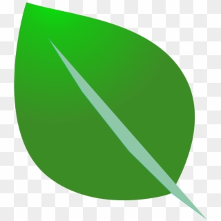 Organic Leaf Png, Transparent Png