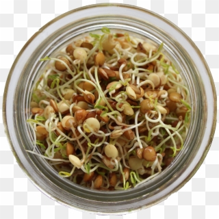 What Are Sprouts - Mung Bean, HD Png Download