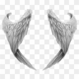 Angel Wings Png Transparent For Free Download Pngfind