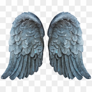 Image - Wings Png, Transparent Png