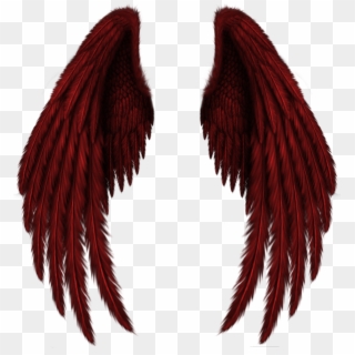 Wing Images Png - Black Angel Wings Png, Transparent Png