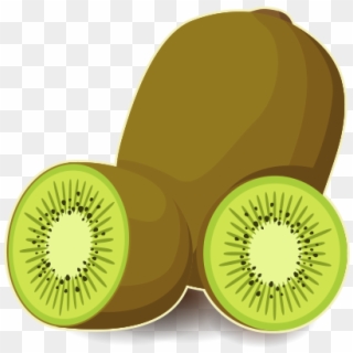 Kiwi Vector Png - Kiwi Fruit Free Vector, Transparent Png