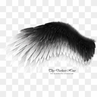 Black And White Wings Png - Black And White Feather Wings, Transparent Png