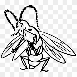 This Free Icons Png Design Of Crying Insect, Transparent Png