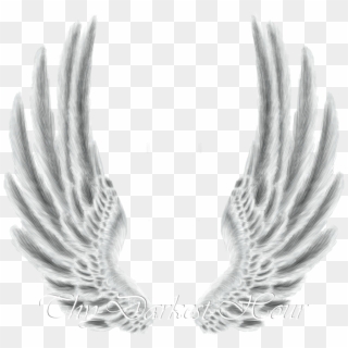 Premium Png By Thy Darkest Hour On Clipart Library - Wings Pngs, Transparent Png