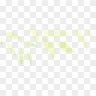 Header Green Blur Left, HD Png Download