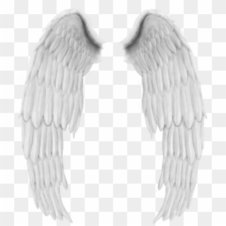 Angel Wings, Collage, Free, Design, Wing Wing, Stickers, - Asas De Anjo Png, Transparent Png