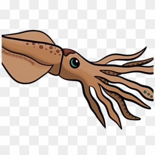 Squid Png PNG Transparent For Free Download - PngFind