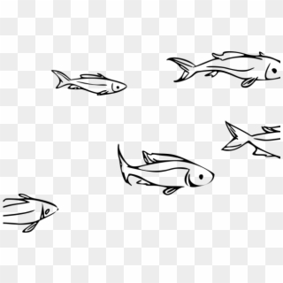 School Clipart Fish - Line Drawing School Of Fish, HD Png Download
