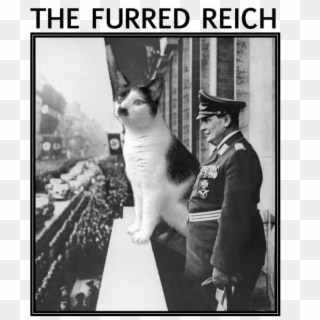 Click Here To - Hitler And A Cat, HD Png Download
