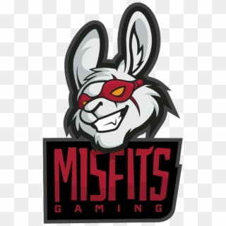 Til Misfits Are Sponsored By The Miami Heat - Misfit Gaming, HD Png Download