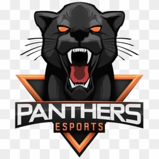 Match Results - Panthers Esports, HD Png Download