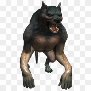 Witcher Werewolf, HD Png Download