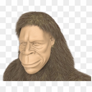 Bigfoot 3d Modeling For Product Logo - Western Gorilla, HD Png Download