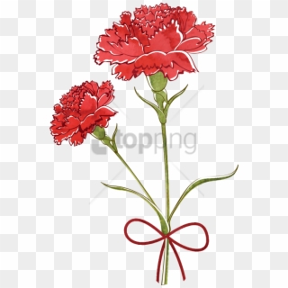 Free Png Download Carnation Watercolor Png Images Background - Watercolor Carnation Flower Drawing, Transparent Png