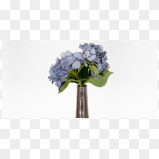Transparent Png