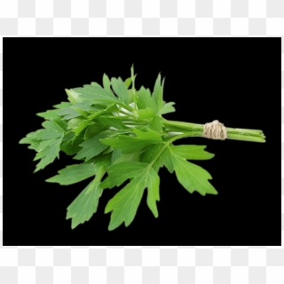 Cow Parsley, HD Png Download