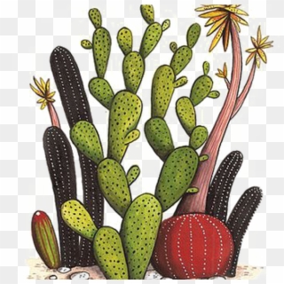 Collection Of Free Cactus Vector Flower Drawing Download - Watercolor Painting, HD Png Download