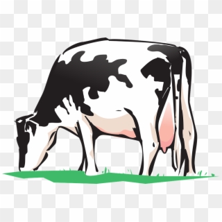 Animated Cows Pictures 25, Buy Clip Art - Cow Drinking Water Clipart, HD Png Download