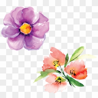 Hand Painted Flowers Hd Beautiful Png Petals Illustration - Watercolor Paint, Transparent Png