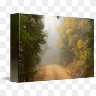 Back-country Dirt Road In The High Elevation Of The - Dirt Road, HD Png Download