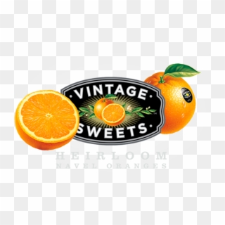 Vintage Sweets - Tangerine, HD Png Download