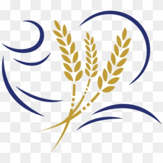 The Curved Lines To The Left Of The Wheat Represent, HD Png Download