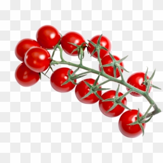 Red Cherry Tomatoes - Bush Tomato, HD Png Download