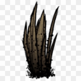 Free Png Dont Starve Grass Png Image With Transparent, Png Download