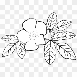 This Free Icons Png Design Of Gg Rosa Acicularis - ดอกไม้ กราฟ ฟิ ค ขาว ดำ, Transparent Png
