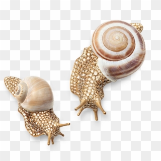 Gold Snail, HD Png Download
