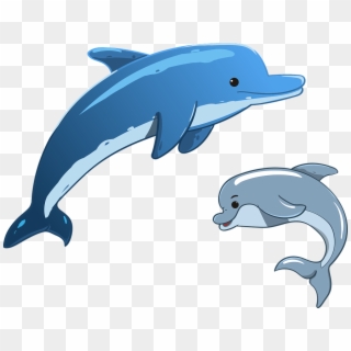 Coast Clipart Dolphins - Mother And Baby Dolphin Clipart, HD Png Download
