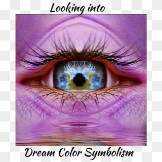 Colors Dream, HD Png Download