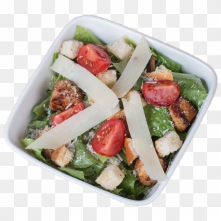 At Jackpot, We Care About Quality Of Food We Provide - Caesar Salad, HD Png Download