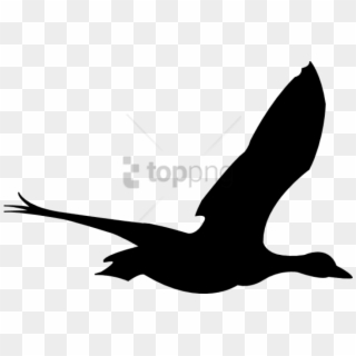 Free Png Flying Birds Animation Png Image With Transparent - Flying Bird Png Gif, Png Download