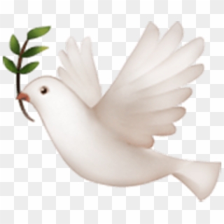 #dove #white #nature #animal #emoji #stickers #cute - Bird Emoji On Iphone, HD Png Download